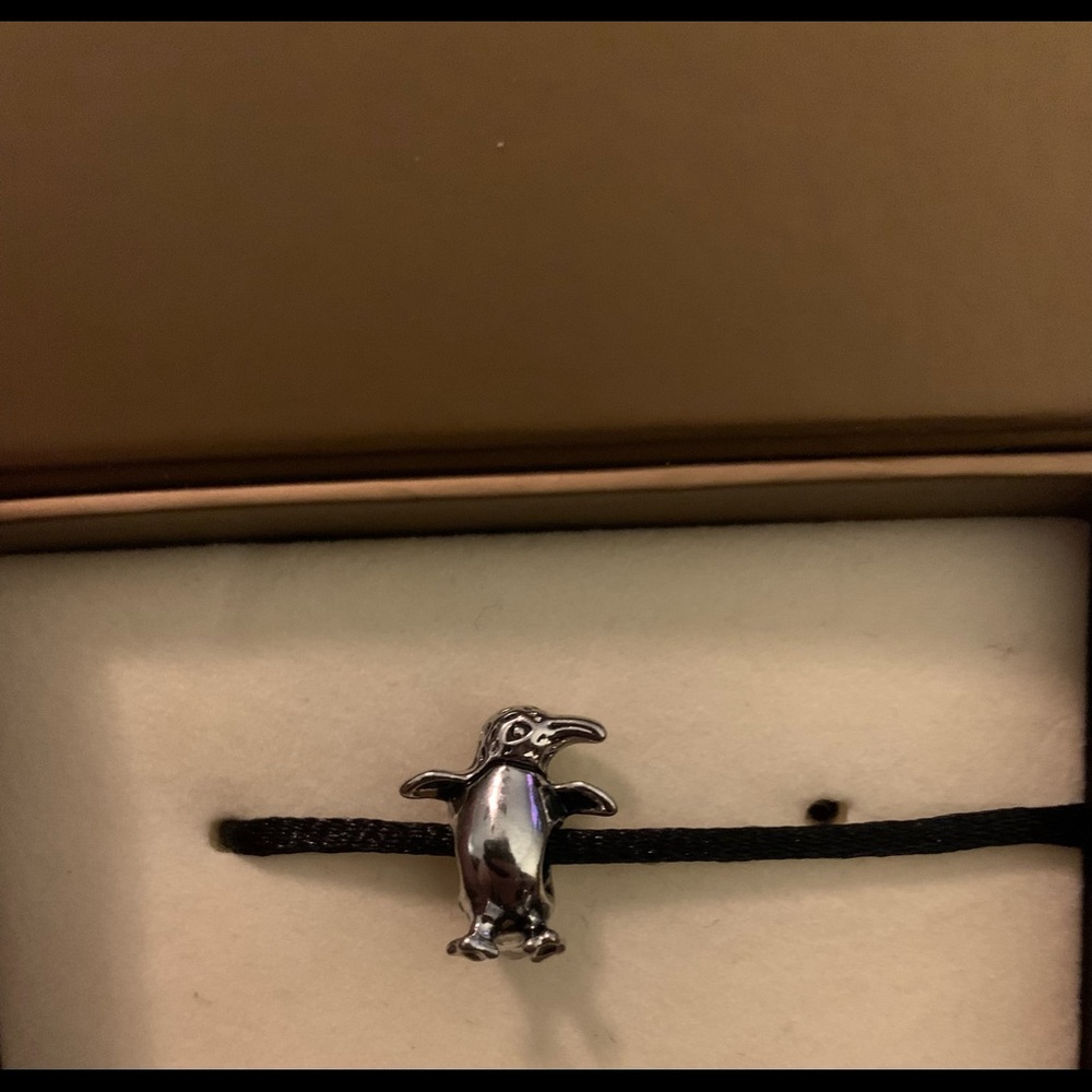 Penguin Charm